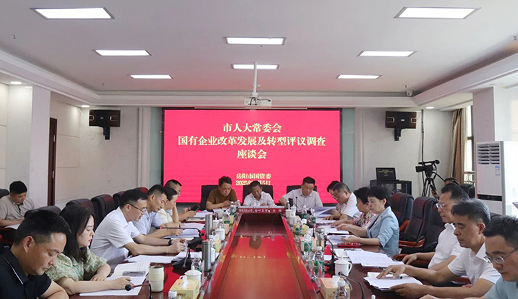 国有企业改革发展及转型工作评议调查座谈会举行