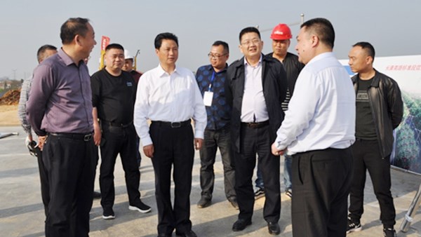 向伟雄现场调研公司交通大会战项目