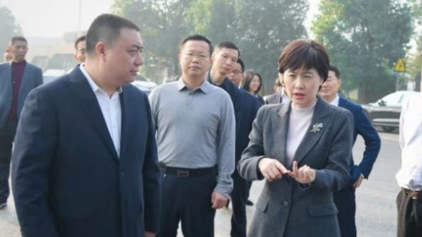 市委副书记、市长李爱武调研公司胥家桥综合物流园项目建设