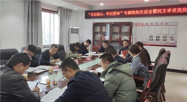 集团公司各党支部召开“不忘初心 牢记使命”主题教育专题组织生活会