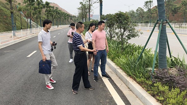 市园林局领导一行调研公司赶山东路绿化工程项目