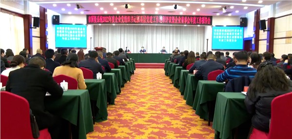 岳阳市国资委系统党委书记抓基层党建工作述职评议会召开