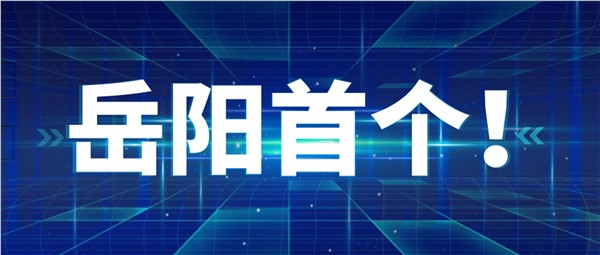岳阳首个！岳阳地区率先点“数”成金