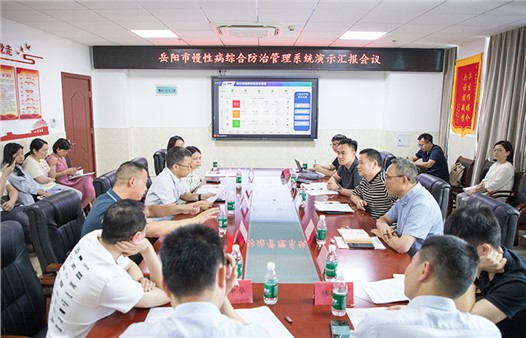 岳阳市慢性病综合防治管理平台系统演示汇报会召开
